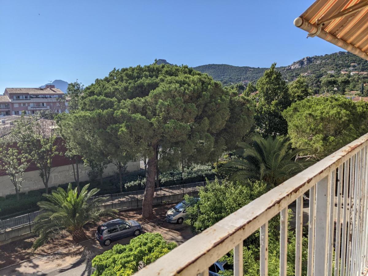 Apartment Superbe T2 Proche Des Plages Et Des Commerces Hyères