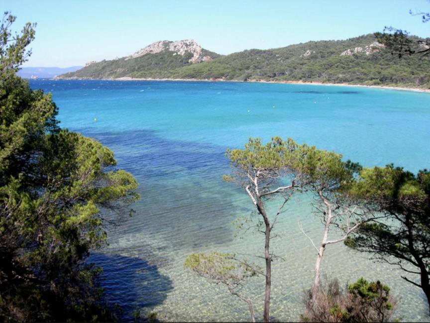 Apartment Superbe T2 Proche Des Plages Et Des Commerces Hyères